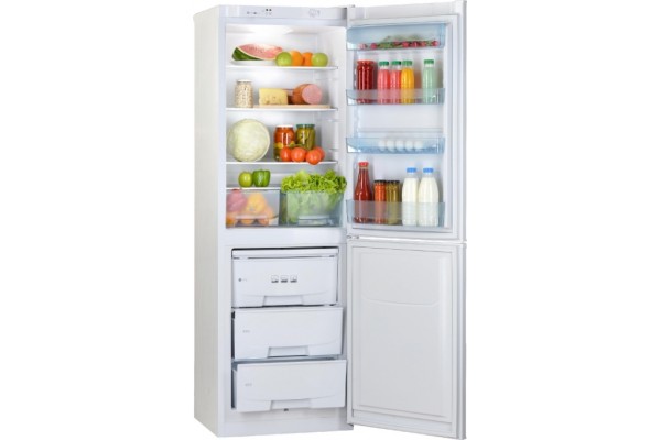  Двухкамерный холодильник Позис RK-139 белый фото