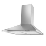 Каминная вытяжка HOMSair Delta 50 нержавейка