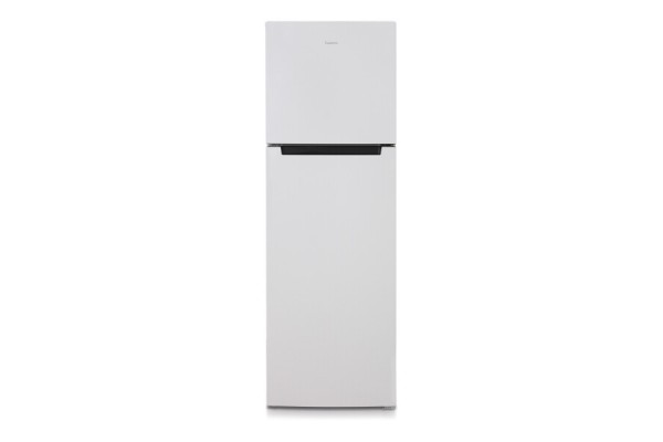  Холодильник Бирюса 6039 фото